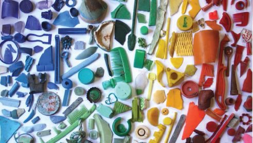 World Ocean Day tweet media