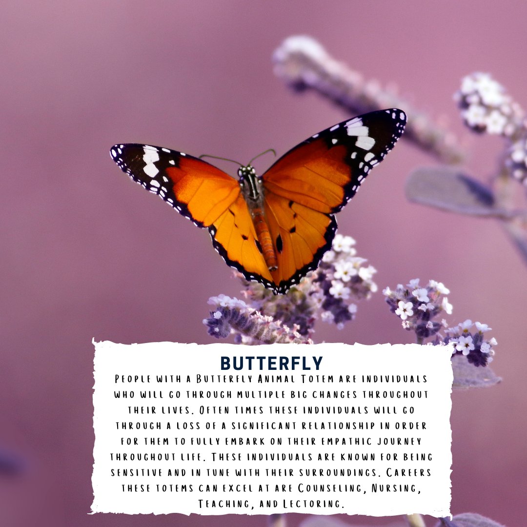 Chris_Dufresne_'s tweet image. Do you know your Animal Totem? #stayuplifted