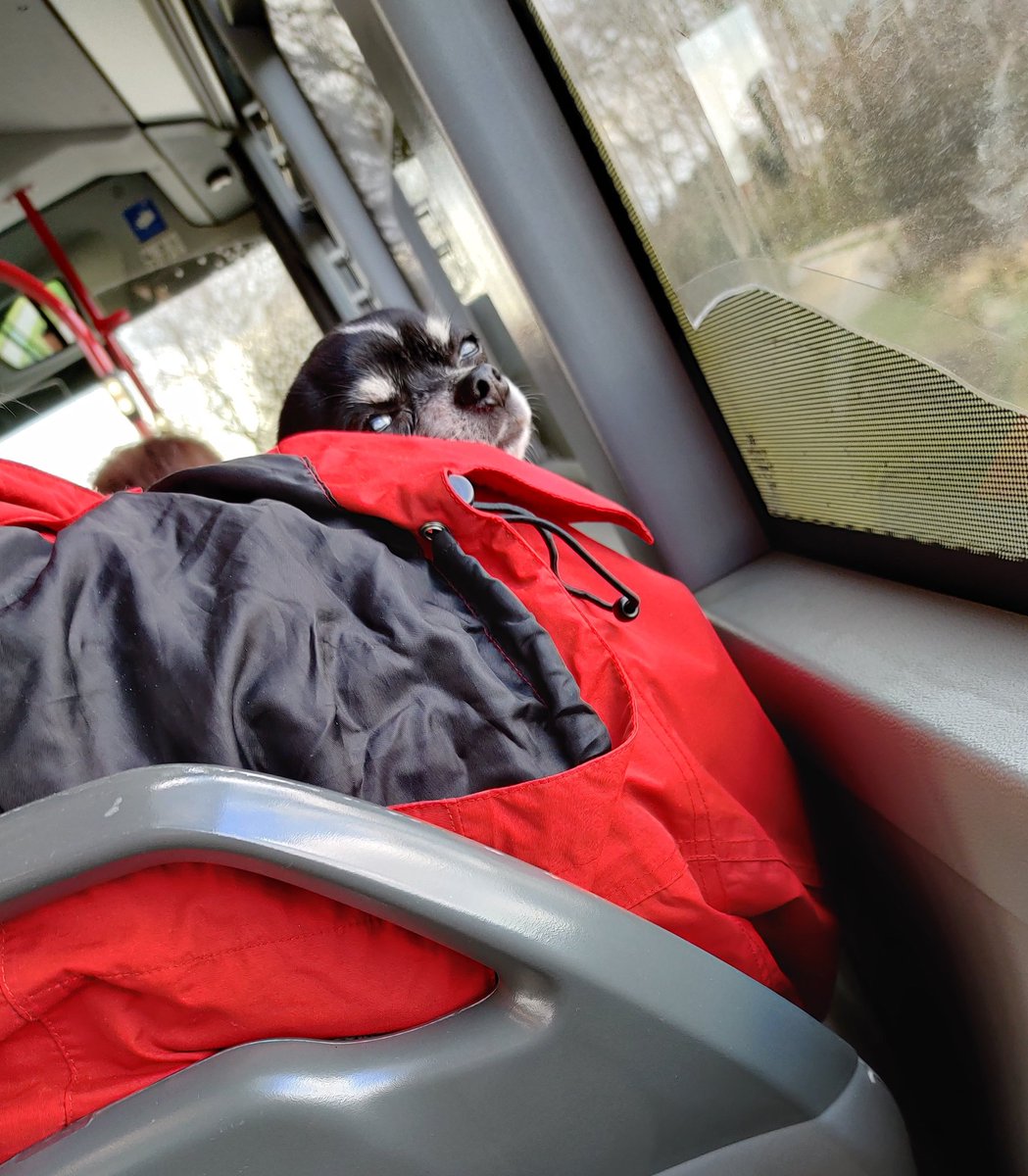 Anners 🕵🏼‍♀️🎾 tweet media