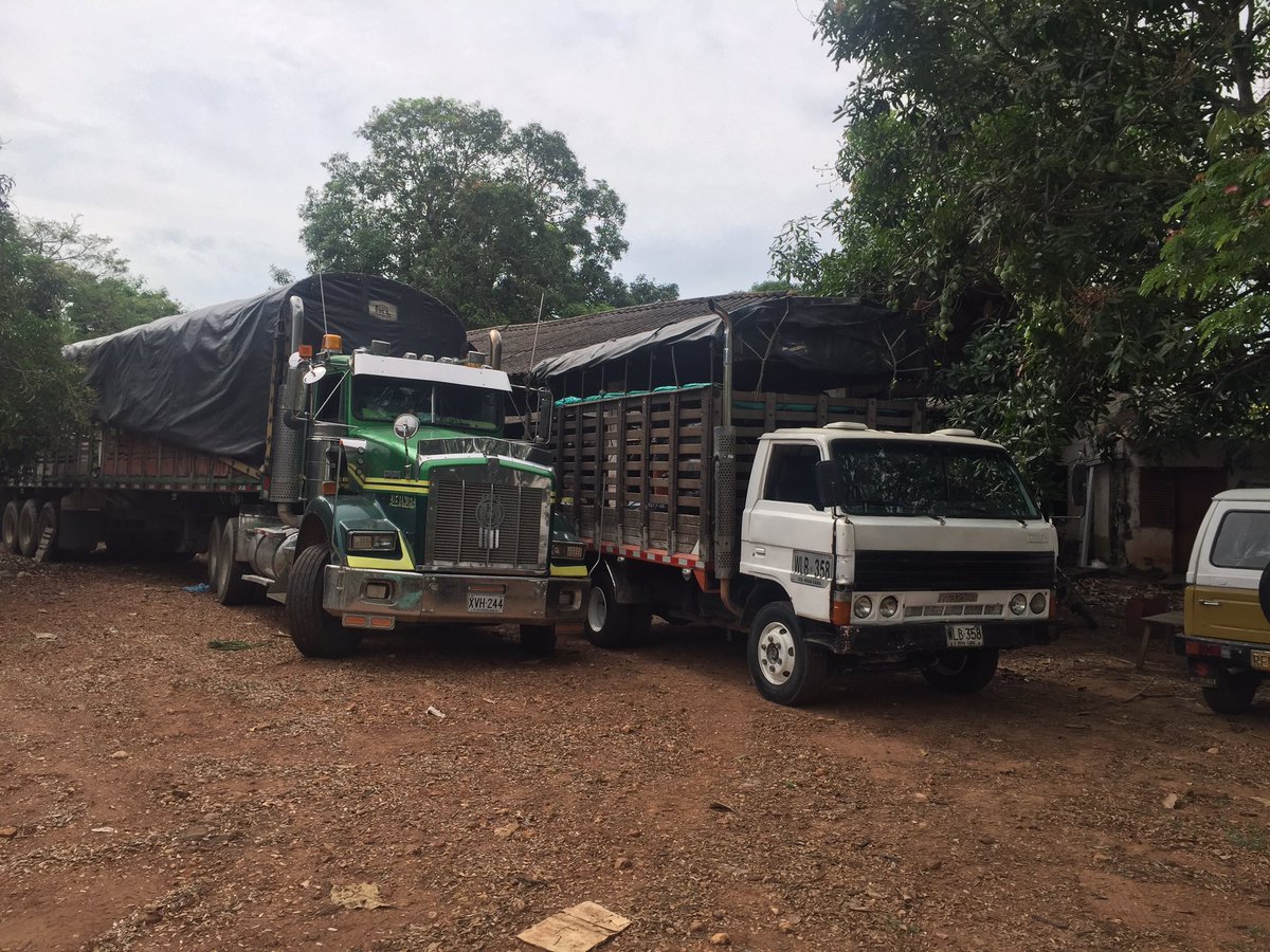 AyazoOmer's tweet image. Silo. Apoyo a los pequeños ganaderos del Bajo Sinú. Ganabas comprometido con el campo. Ministerio de Agricultura. Alcaldía de Lorica @GANABAS2 @AlcaldiaLorica @MinAgricultura