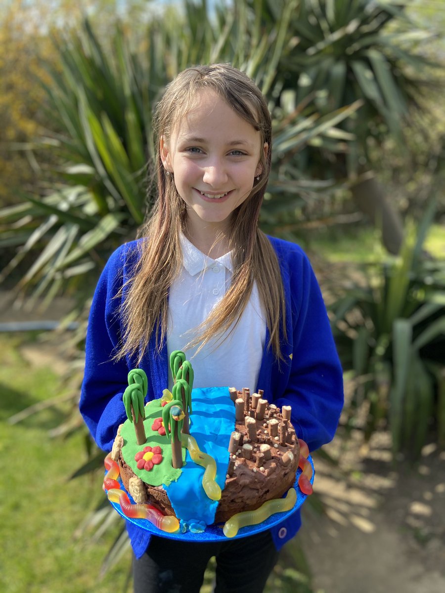 JacquiMurphy15's tweet photo. @latimerprimary Imogen’s cake decorated showing the rainforest and deforestation for her Easter rainforest homework. Such a shame to eat it!! https://t.co/umIrlj0W30