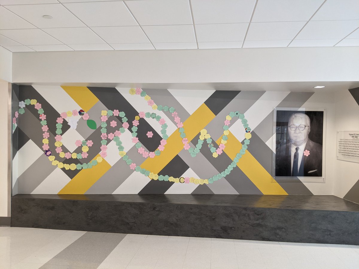 Growth.  How have YOU grown this year? Our kindness tree is full of flowers representing how each student thought they grew over this school year. 🌸🌷🌼#conradyjaguars @miss_pavek <a href="/MrsMcCabe117/">D McCabe</a>