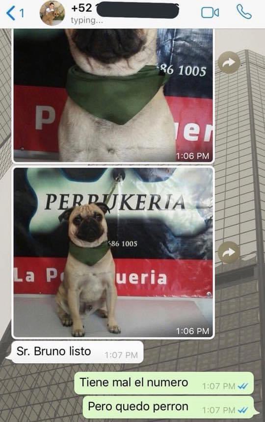PorQue1mporta's tweet photo. https://t.co/JaWAfEQdnf