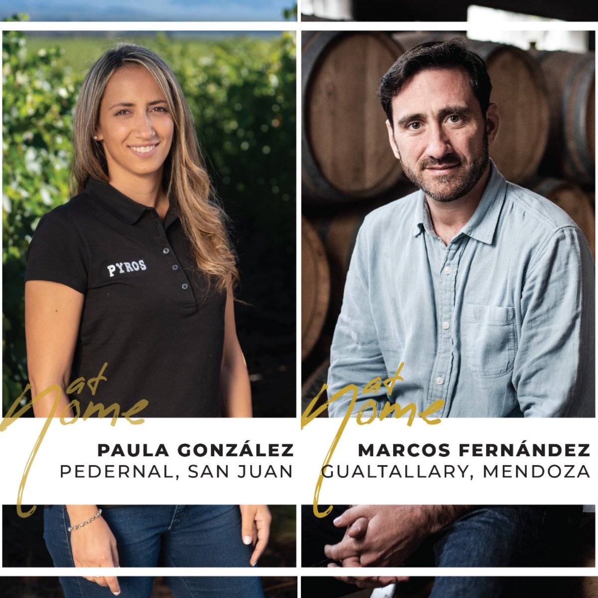 Últimos 10 WINEBOX disponibles para participar de una nueva experiencia virtual en la que transitaremos por las diferentes #Alturas de #Argentina 🙌 Imperdible! #WineEducation 🍷