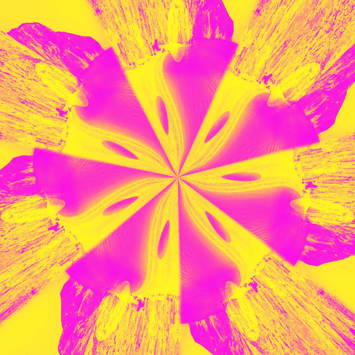 “Wet Cinnamon” - “Cinnamon Flower” 

#digitalart #NEON #colourtherapy #Colourpop #aesthetic