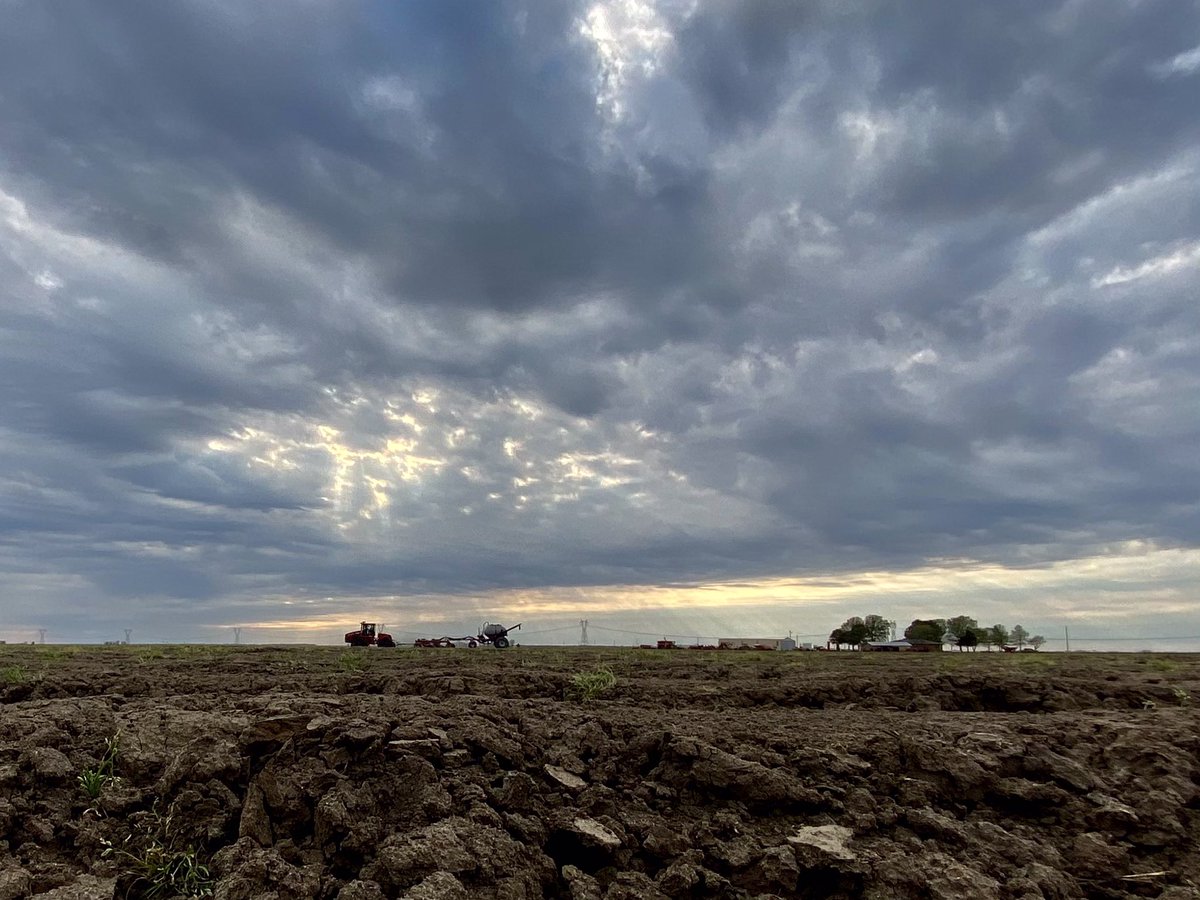 abdcrop's tweet photo. A long row to go! #rowrice#eatmorice #USArice#plant2021 https://t.co/j9wDZhjgEs