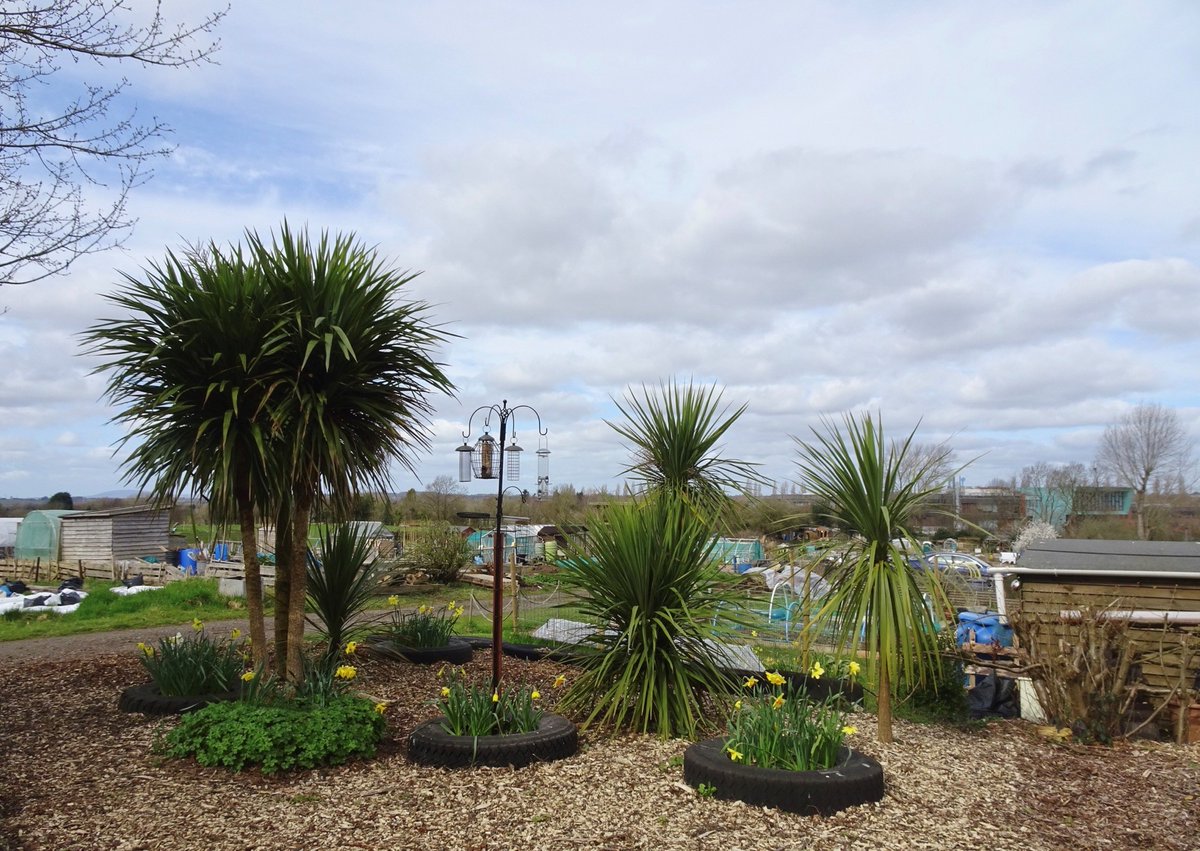 BoundaryWay photo