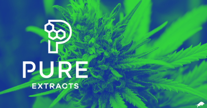 equitydotguru's tweet photo. Which provinces will Pure Extracts new line of edibles be available in and how much revenue do they expect their batch to generate?🌴🐂

$PULL $PRXTF
#Potstocks #Invest #Trading #Markets