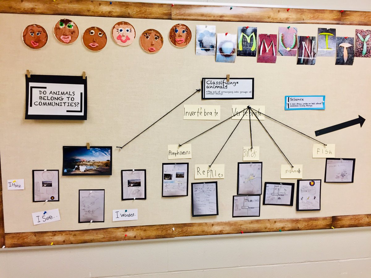 CBESomerset's tweet image. Gr1s @CBESomerset document their learning progression on hallway bulletin boards. It not only makes learning visible, it acts as a retelling tool for students to share their learning journey with others. #SomersetStrong #WeAreCBE #VisableLearning #Documentation