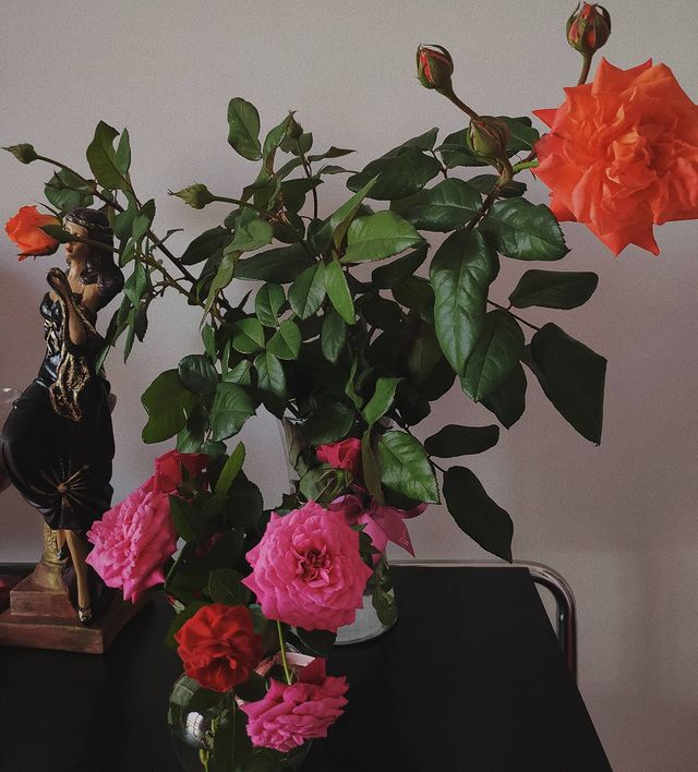 TK99CW's tweet photo. ㅤㅤ ㅤ___chaset posted a new picture #tkgram
🌹💐 https://t.co/gwEDmhv0st