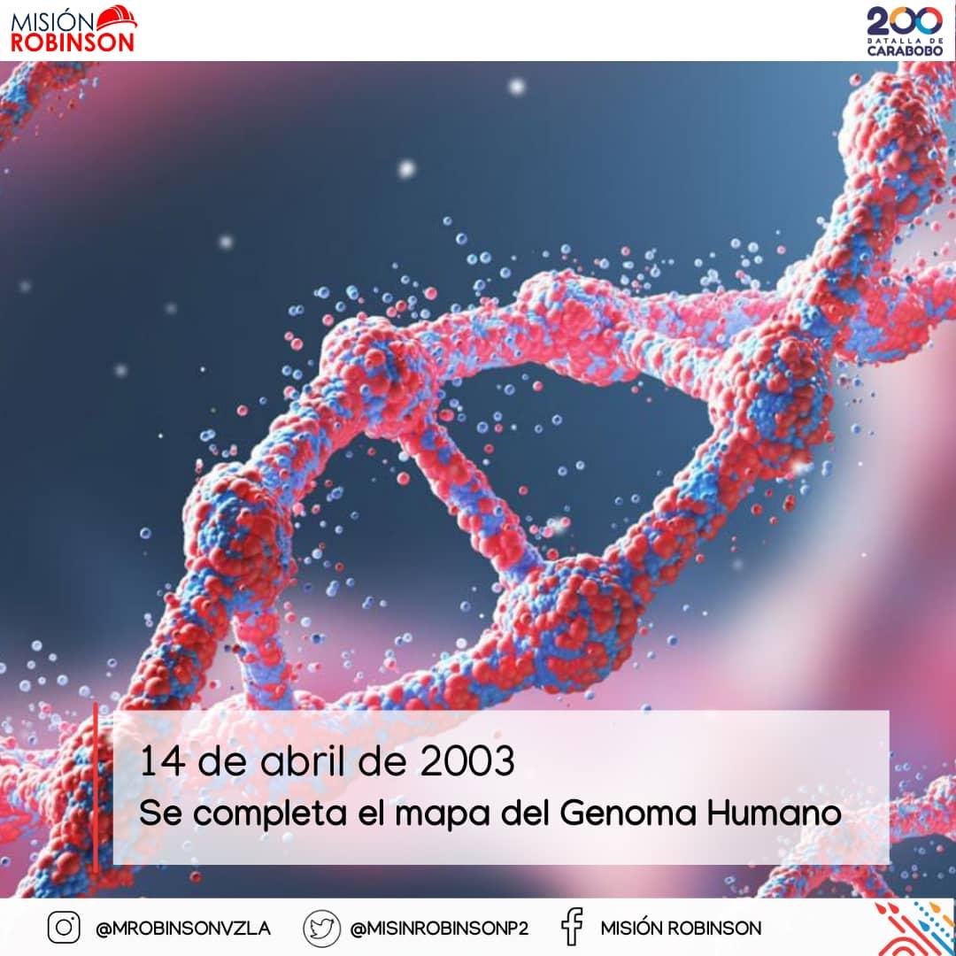 SabiasQue || #14Abr del 2003, Se completa el mapa del Genoma Humano,  secuencia completa de ADN de un ser humano. Está dividida en 24 fragmentos  y se compone de 23 pares de, image size:1080x1080