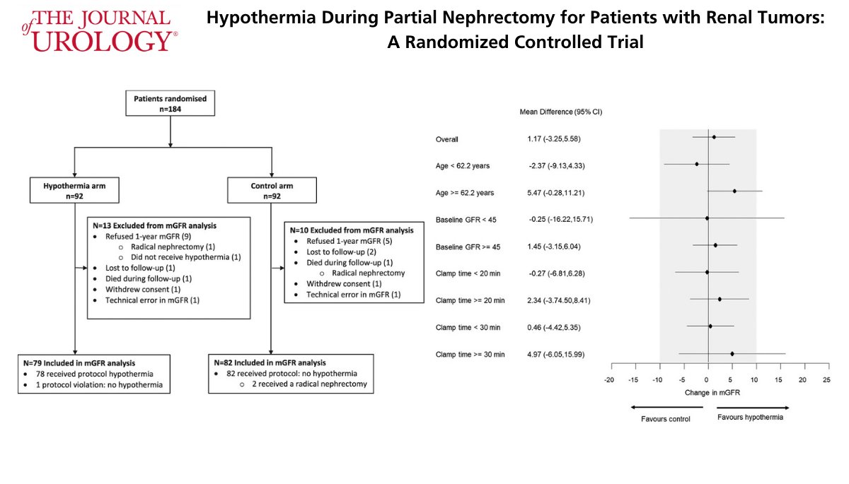JUrology's tweet image. This trial examined the effectiveness and safety of renal hypothermia during partial nephrectomy.

Read the full text here: bit.ly/2Q5Zh4l @rhankb
