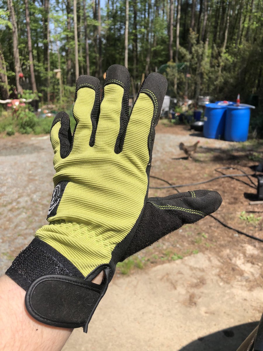 It’s new garden glove day! These are The Digger from Womenswork. They swear the fingertips won’t split. Let’s find out!