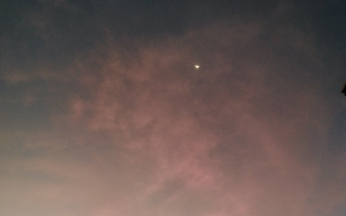 mc_tae_'s tweet photo. @CherryShop514 Get you under pink skies, I know exactly where we should go
~pink skies (lany)
@PrettyUShop17
#CherriesTalentism https://t.co/zFL4ke0Mxx
