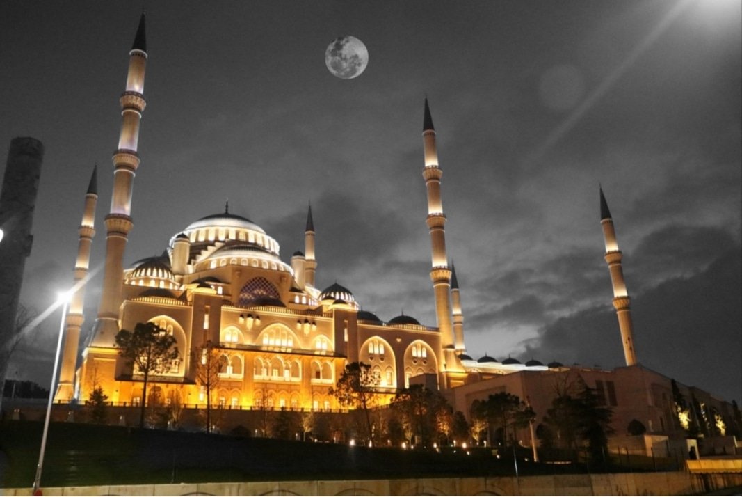 Olmak yada olmamak işte tüm mesele bu