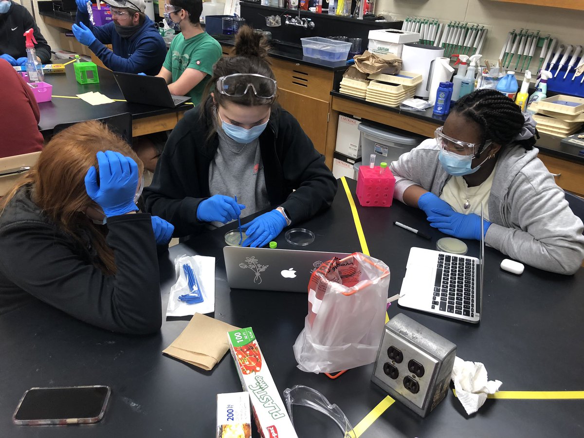 MsFishback's tweet photo. Testing the effects of UV light on yeast culture today in MI #PLTWClassroom @RocketPrincipal @shelbycountysch https://t.co/4DCqgJJty9