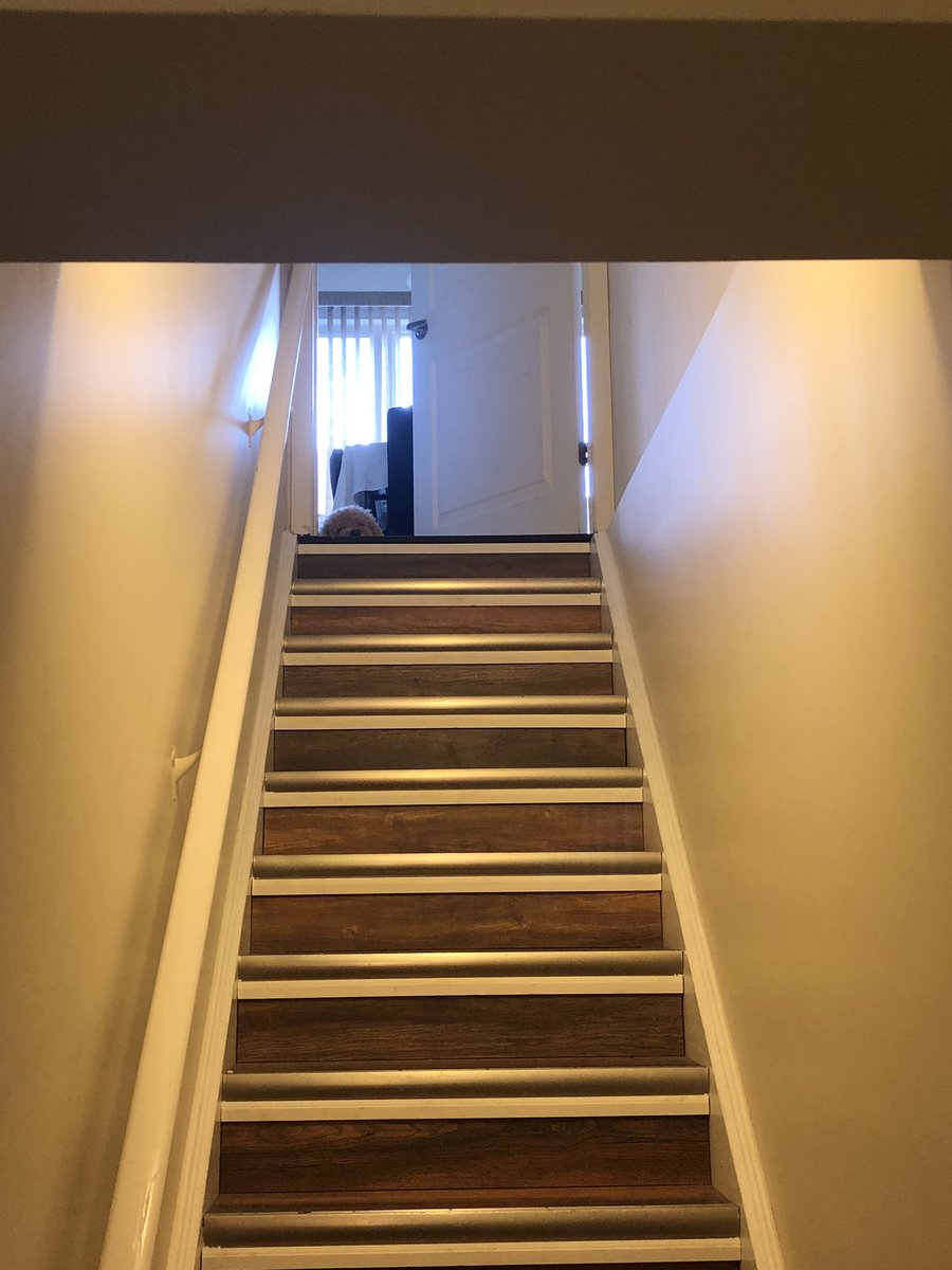 Kriti Mehrotra tweet media