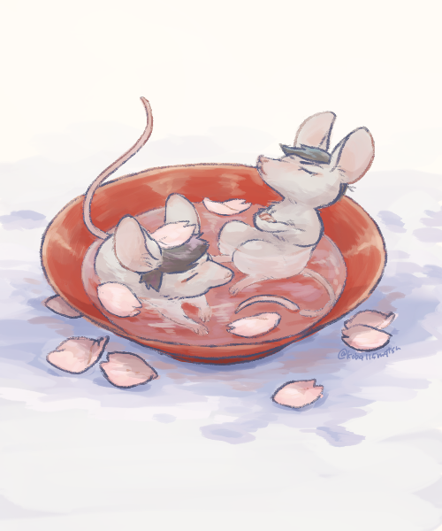「花見酒 」|コバヤシのイラスト