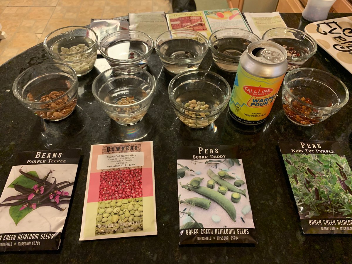 jameslgb's tweet photo. Gardening is thirsty work!
#NationalGardeningDay @rareseeds. 
#FallLineBrewing #WarpedPour21
One of these things is not like the other. https://t.co/11wRDTMbOp