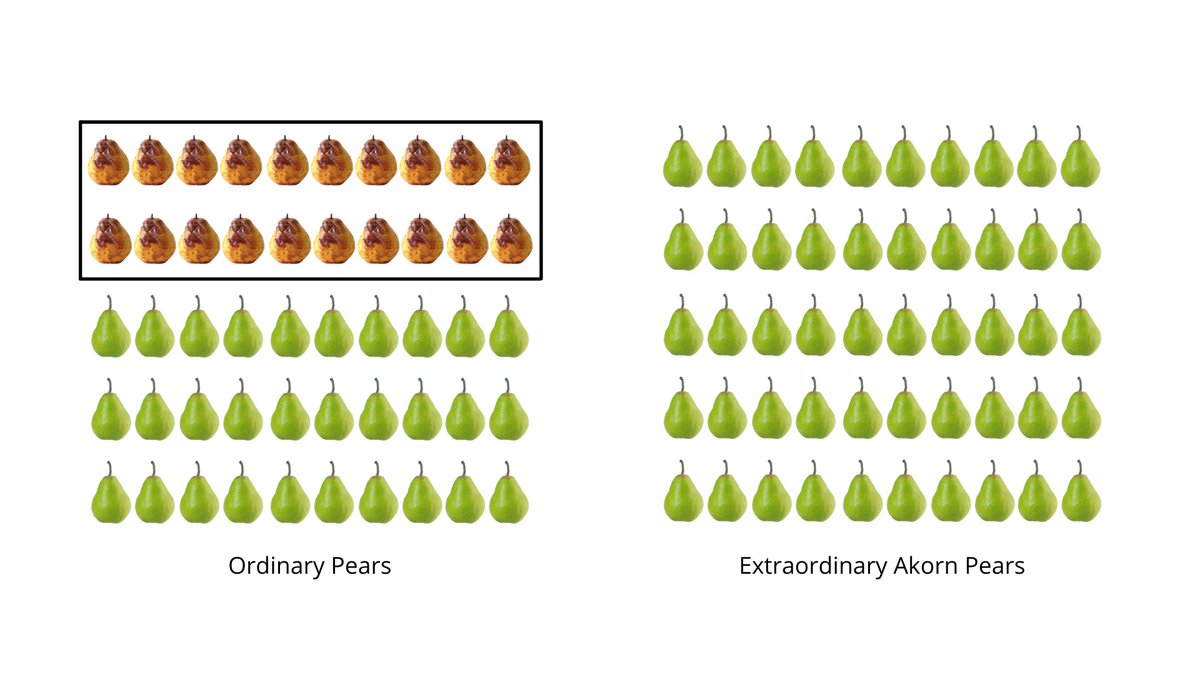 Akorn Technology tweet media