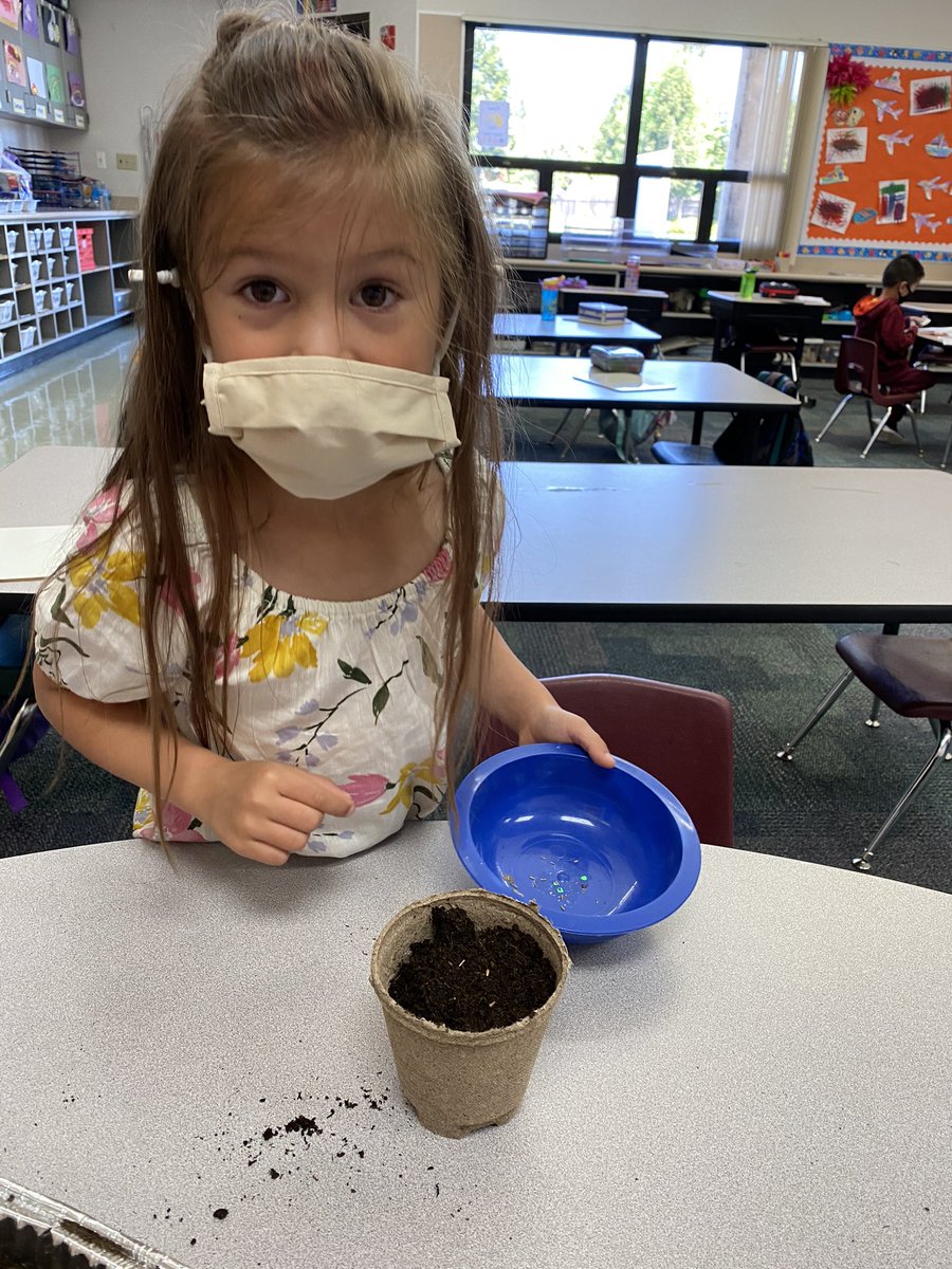 MrsMartinezDC's tweet photo. What a fun day in TK! We planted flower seeds, searched for seeds in fruits and veggies, and painted flower gardens! @rcsdDC #rcsdchampions #DCkidsdeserveit https://t.co/0cBZZOtZA8