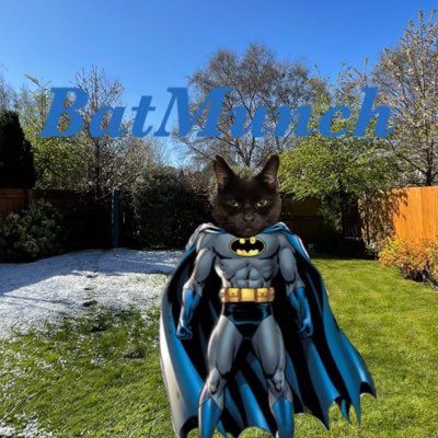 MunchPudding's tweet photo. #NewProfilePic Hey Intruders, come & spray my bushes now if you think your hard enough! 🦇🐾 #BatMunch I’ve got my #Hedgewatch crew & Mr. & Mrs. BatCat as backup! 🐾✊🏻🌳 https://t.co/zPhDPT06dr