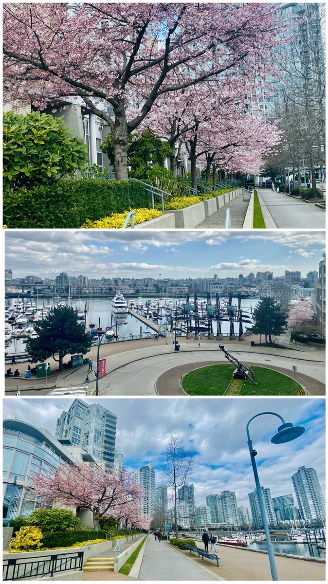 CMRealty's tweet image. 💥SOLD💥 It was a pleasure marketing and selling this beautiful, #waterfront 3🛏 &amp;amp; Den &amp;amp; solarium, in desirable #Marinaside #Yaletown Congrats to my clients who achieved a great return on their investment &amp;amp; to the lucky buyers! #VancouverRealtor  #waterfront #property  @Prompton