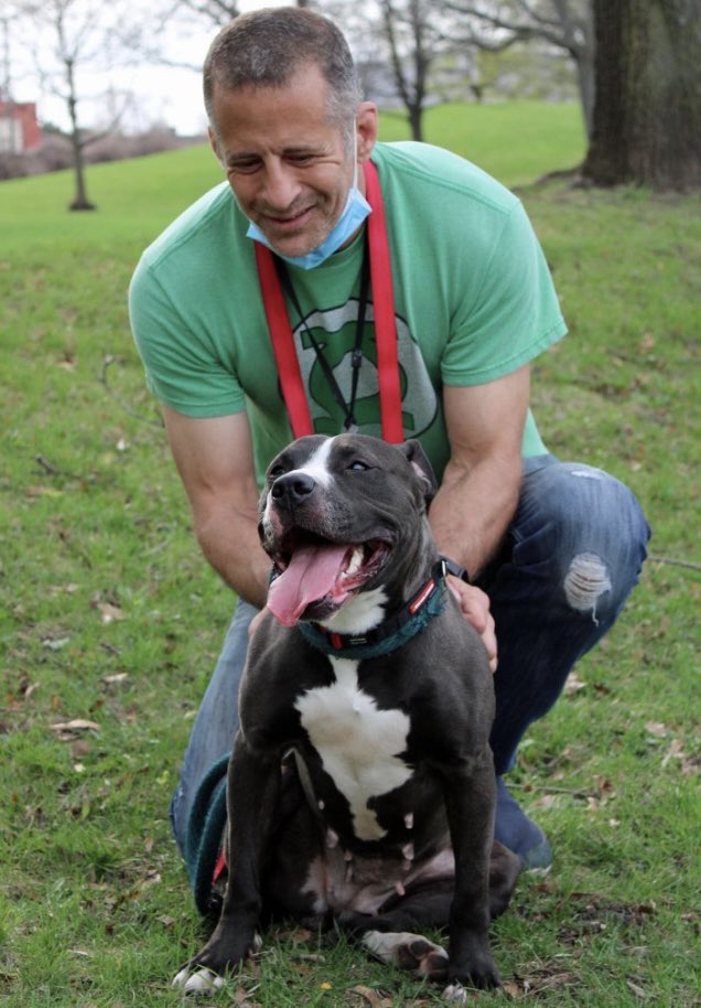 rescueDogWalker's tweet photo. See adoptable dogs in Rochester Animal Services at: https://t.co/vG7HuyzkYS https://t.co/xtCkIXbgIA