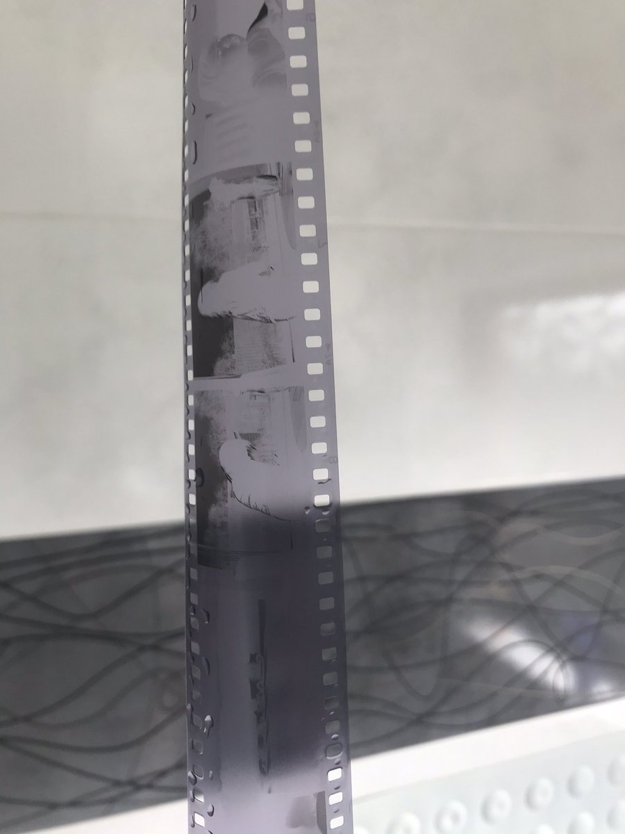 gemmythegreat's tweet photo. First roll with homemade dev AND fix. A bit thin but we have images! Star anise, vitamin C and washing soda. #homedev https://t.co/sOaVpZaWd4