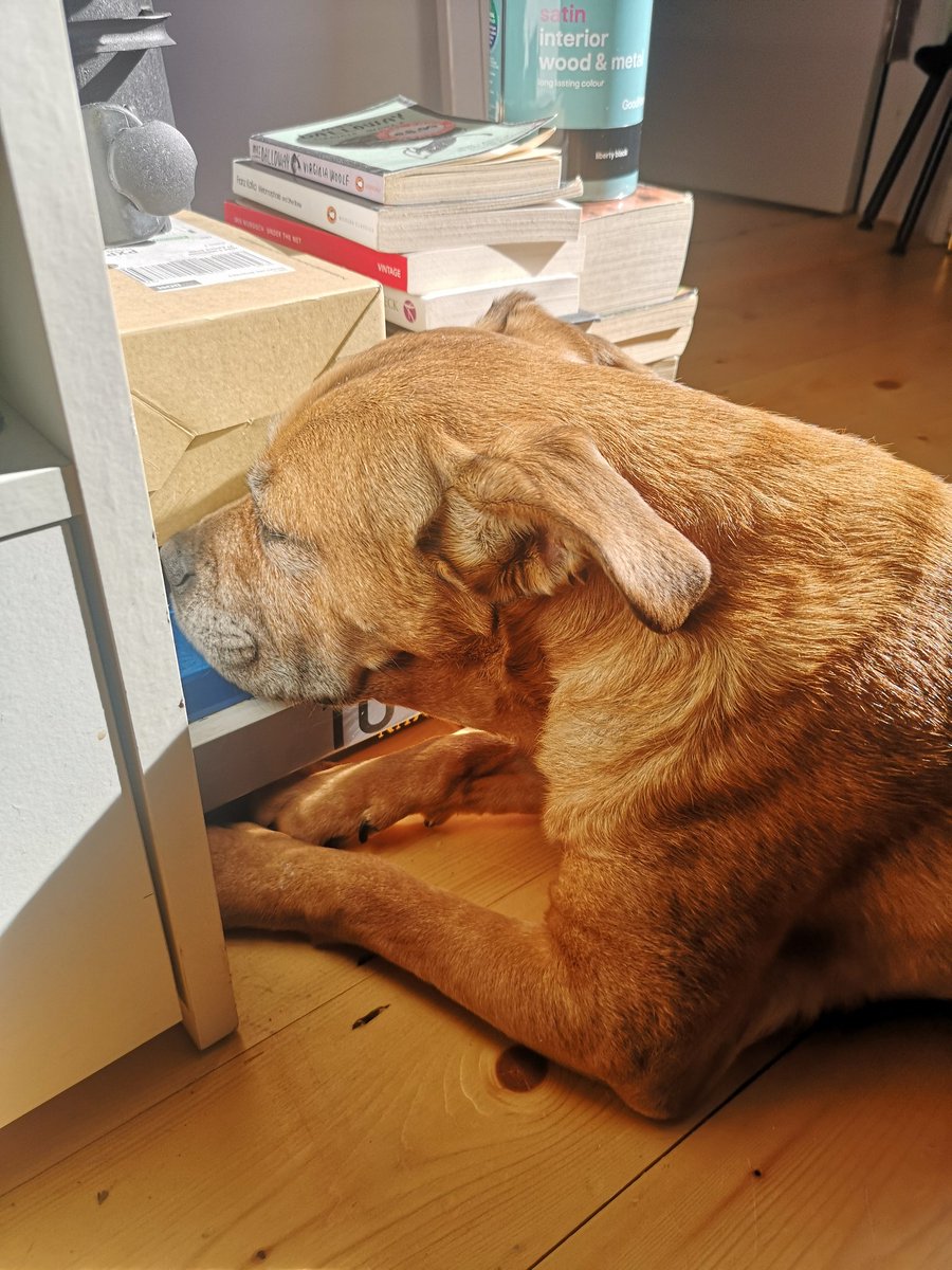 These books are in the way of my sunning mammy... Halp please!