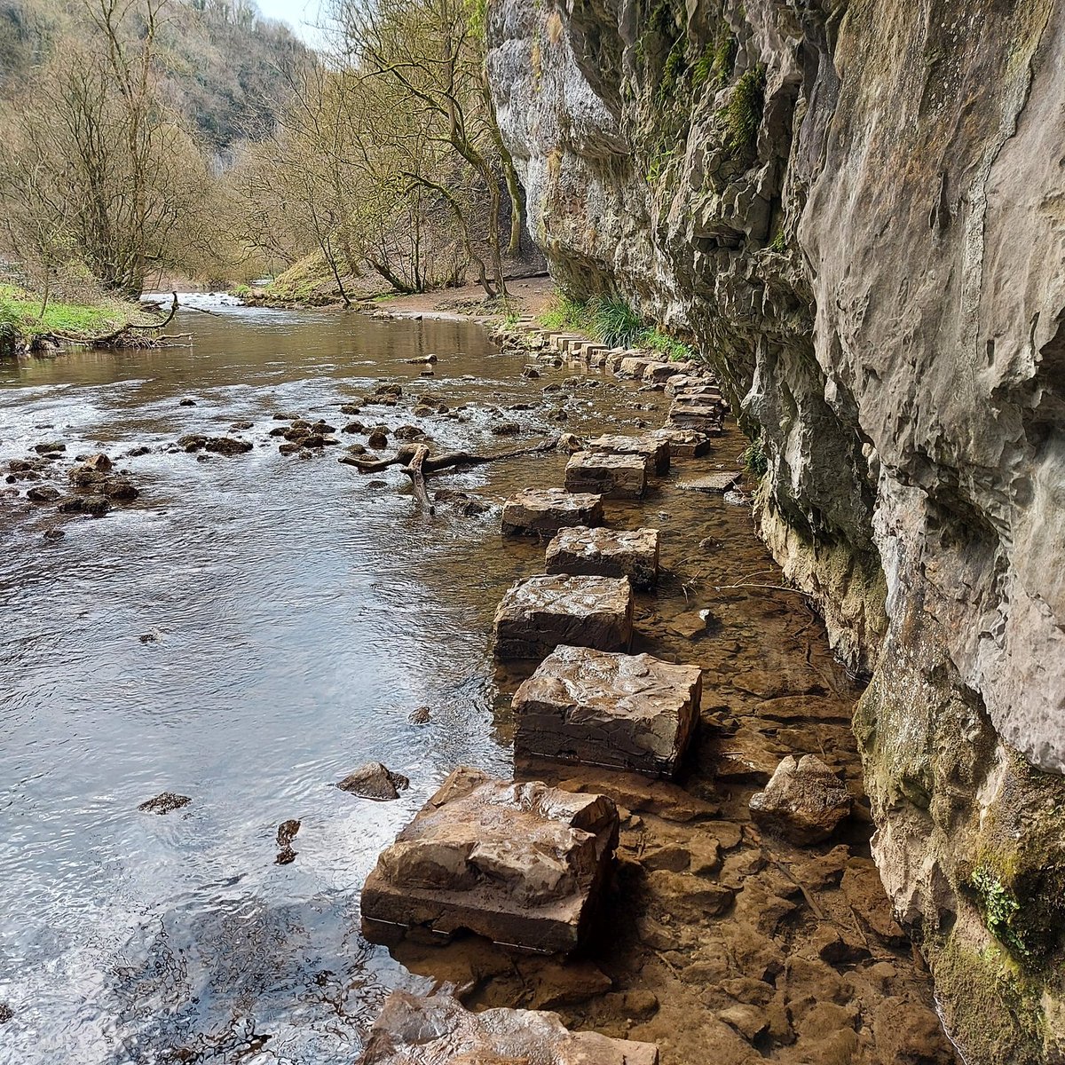 SamLawr3's tweet photo. A whole family stepping stones adventure 🥾🐾 Deserted too! Pays off to hunt out the lesser known alternatives - bet you wouldn't see Dovedale as quiet! #steppingstones #hiking #avoidthecrowds #peakdistrict https://t.co/6KNsi6fZV0