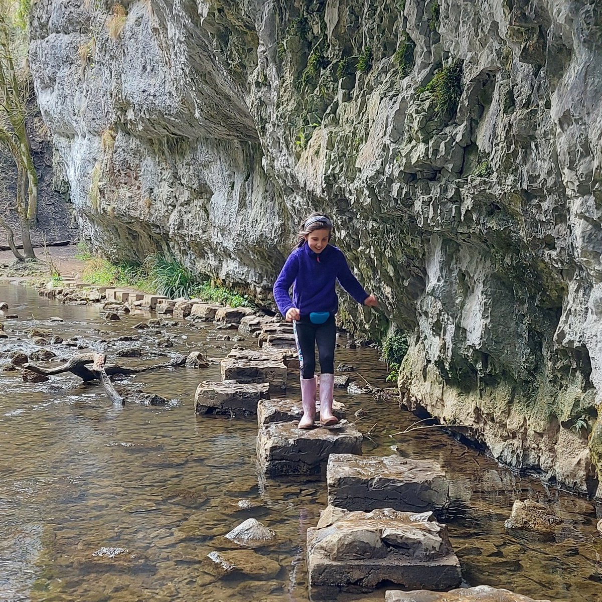 SamLawr3's tweet photo. A whole family stepping stones adventure 🥾🐾 Deserted too! Pays off to hunt out the lesser known alternatives - bet you wouldn't see Dovedale as quiet! #steppingstones #hiking #avoidthecrowds #peakdistrict https://t.co/6KNsi6fZV0