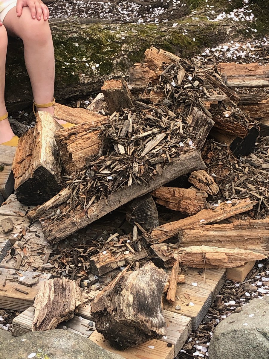 Amanda Reid tweet media