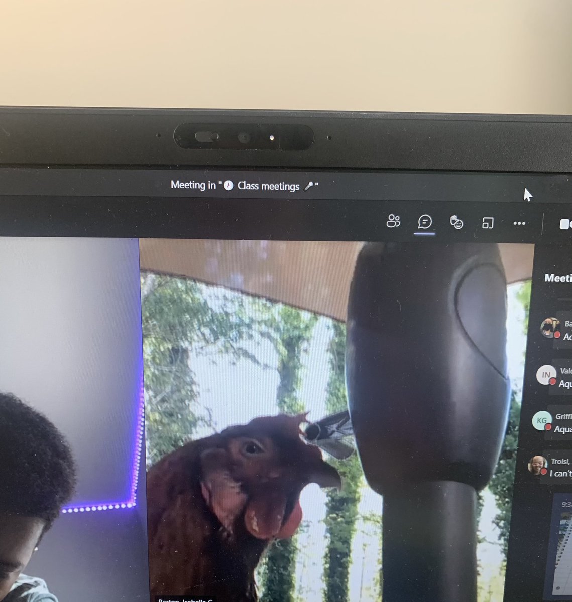 Oh nothing to see here... just a chicken 🐓 attending my virtual meeting. 🤣 Never a d dull moment with virtual learning. We have fun! <a href="/DolvinES/">Dolvin ES</a> #dolvingoesdigital