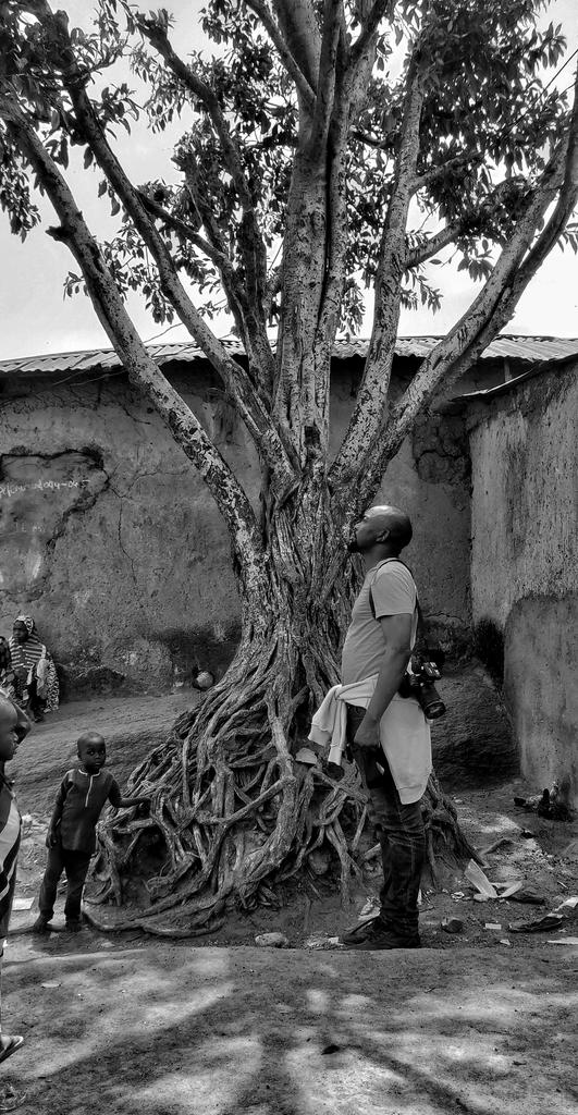sholaanimashaun's tweet photo. Sometimes you need to take it all in before you make your move.
๐ธ: @SolaOwonikoko
#ProjectEnableAfrica
#JosNorth
#PhotoVideoDocu https://t.co/Ba1rhCDR9t