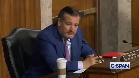 Another pro-defund the police radical nominated by Biden