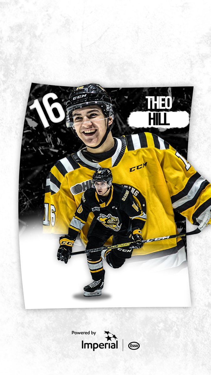 Sarnia Sting tweet media