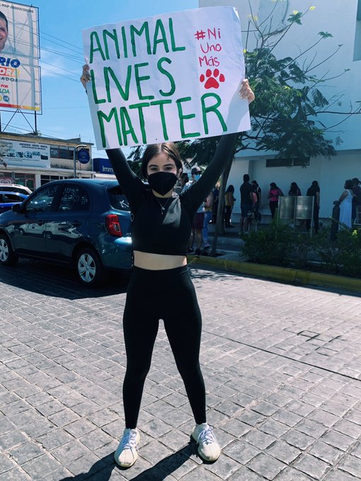 ELLOS NO PUEDEN HABLAR, PERO NOSOTROS SI. #JusticiaPorRodolfo https://t.co/u5YqM5Bff3<a href="/tag/justiciaporrodolfo"class="tags">#JusticiaPorRodolfo</a>