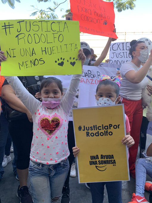ELLOS NO PUEDEN HABLAR, PERO NOSOTROS SI. #JusticiaPorRodolfo https://t.co/u5YqM5Bff3<a href="/tag/justiciaporrodolfo"class="tags">#JusticiaPorRodolfo</a>