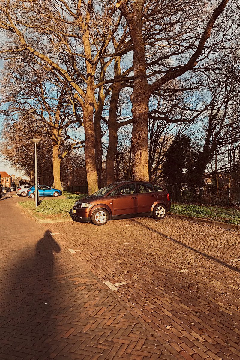 basfavs's tweet photo. @Carpervert  Saw one of your guilty pleasures today. Brown definitely is the best color! https://t.co/Gr5rRdZhvX