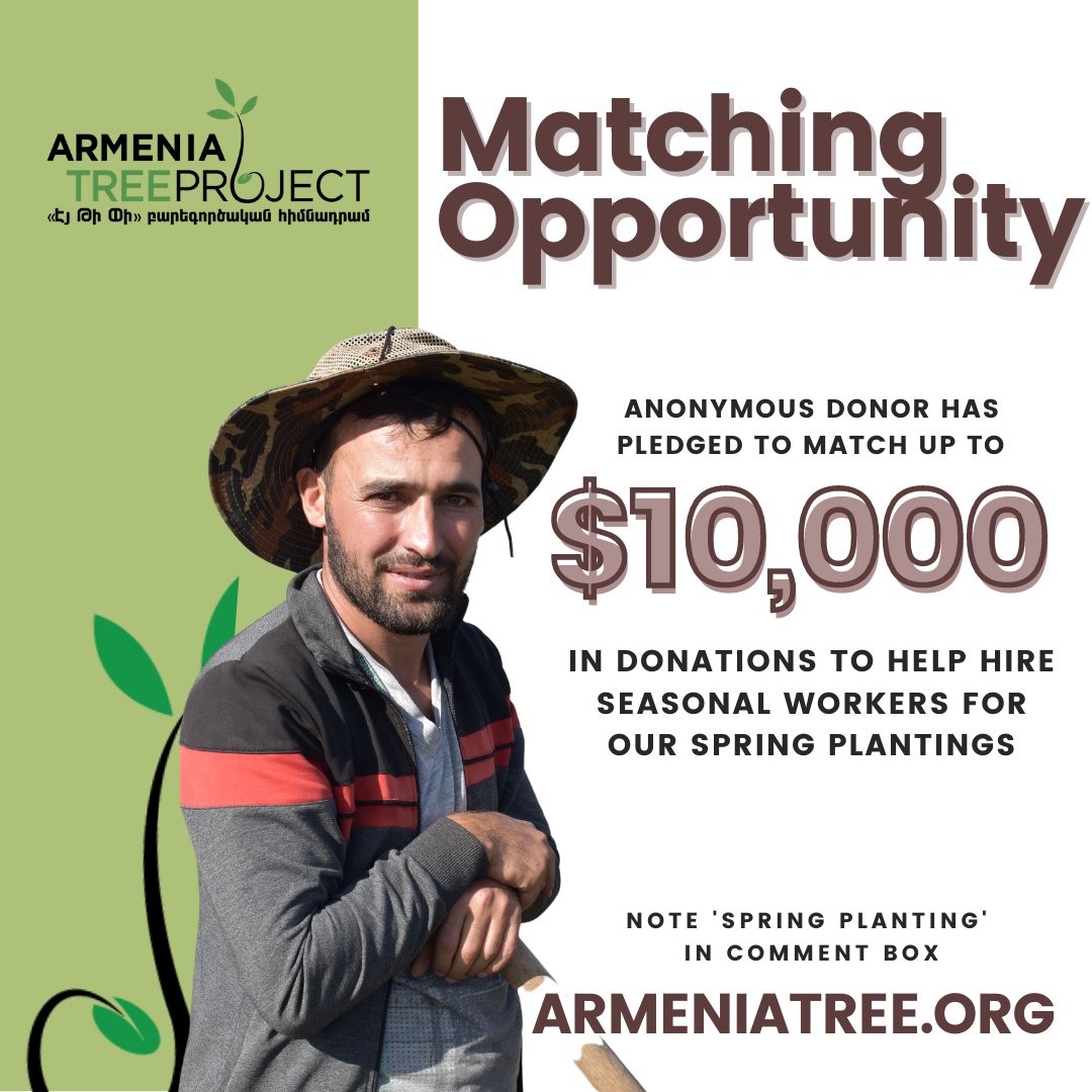 Armenia Tree Project tweet media