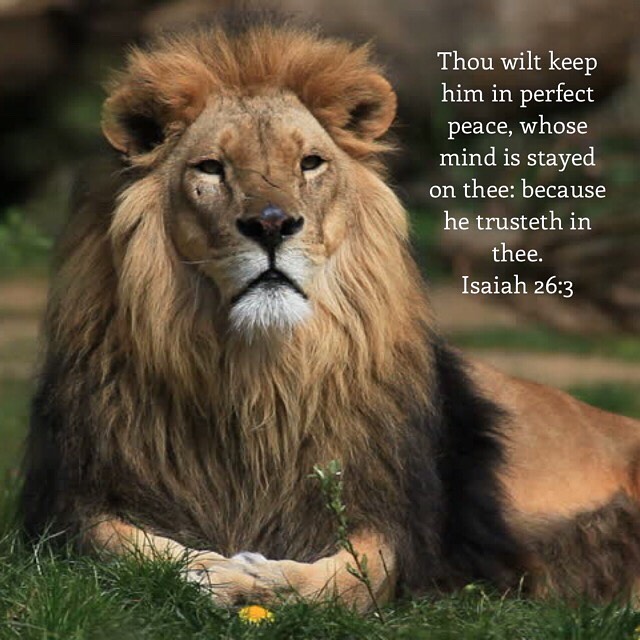 ConnieCline25's tweet photo. @JossieIsraelLab

@thefabkara

@Jannagae

@Dollyejh

@igotchadotcha

@CynthiaMariaduq

@LynnHayter https://t.co/vjFR3fMOWO