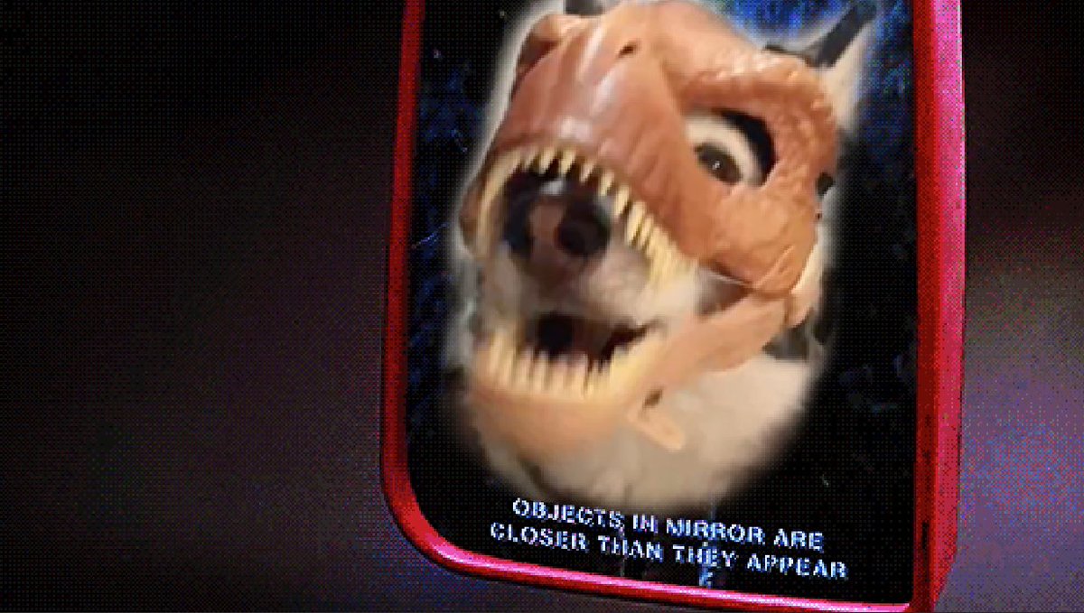 thomaswdent's tweet photo. @JurassicWorld @JurassicWorld @dog_rates  #32MPH https://t.co/351yrFcmll