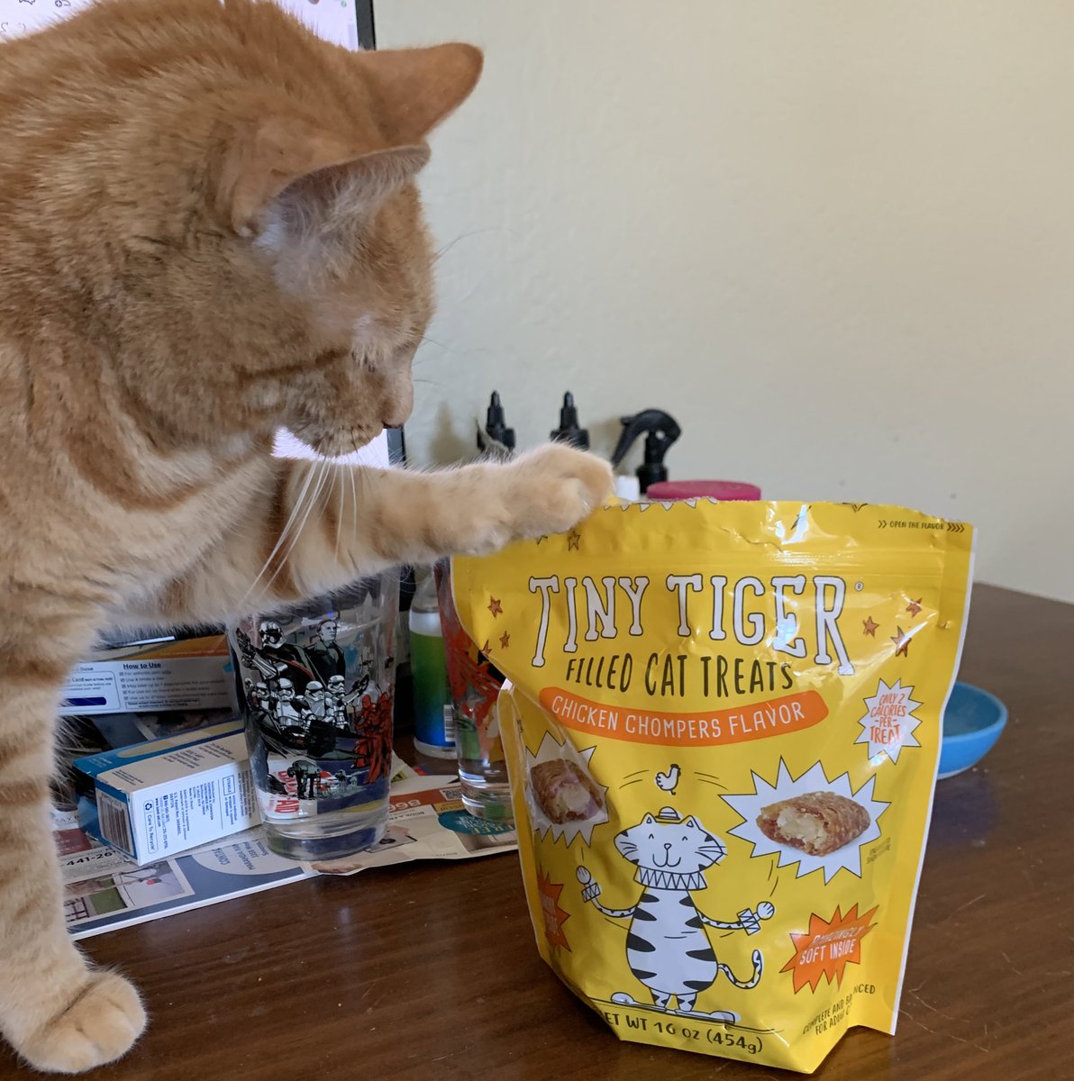 I think I’ll channel my inner tiger and help myself to some Tiny Tigers! <a href="/Chewy/">Chewy</a> <a href="/BaseballGuys/">BaseballGuys</a> #CatsOfTwitter #cats #TinyTiger