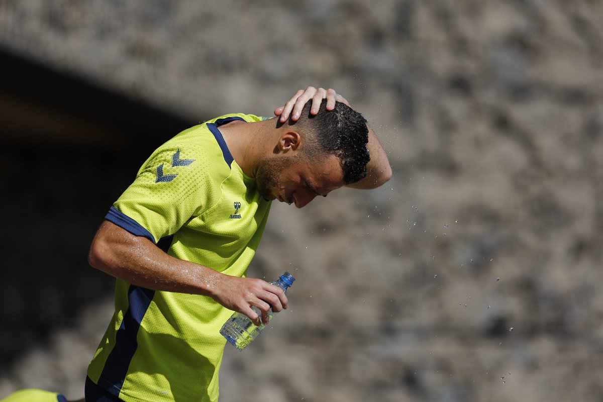UDLP_Oficial tweet picture