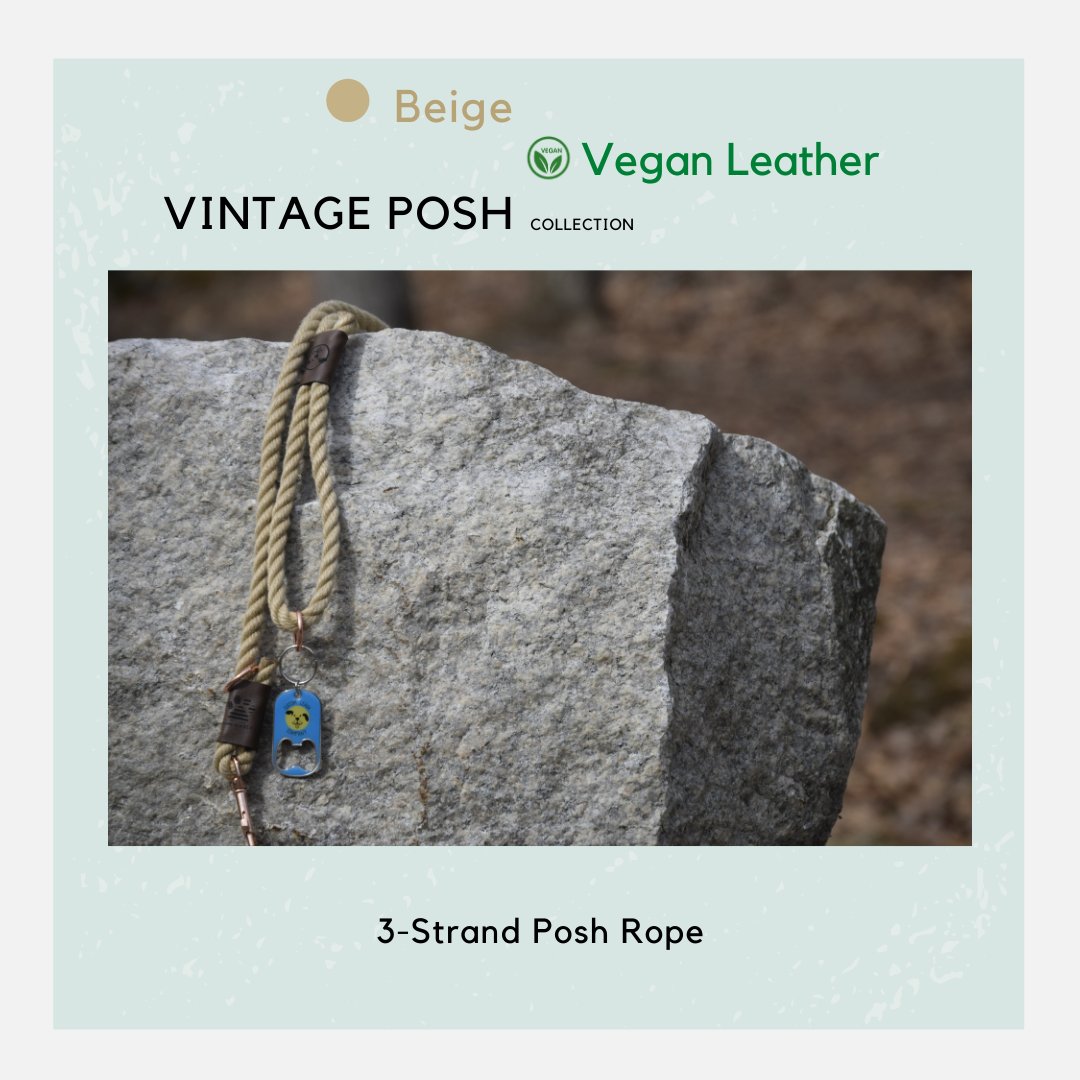 Our Vintage Posh collection has a 3-strand look, it is made of 100% polyester, and it feels soft and smooth on your hands. 
.⁠
.⁠
.⁠
#dogs #dogsofboston #dogsofnyc #dogsofchicago   #doglover #smallbusiness #customleash #dogwalker #loveyourdog  #customproducts #makeityourown