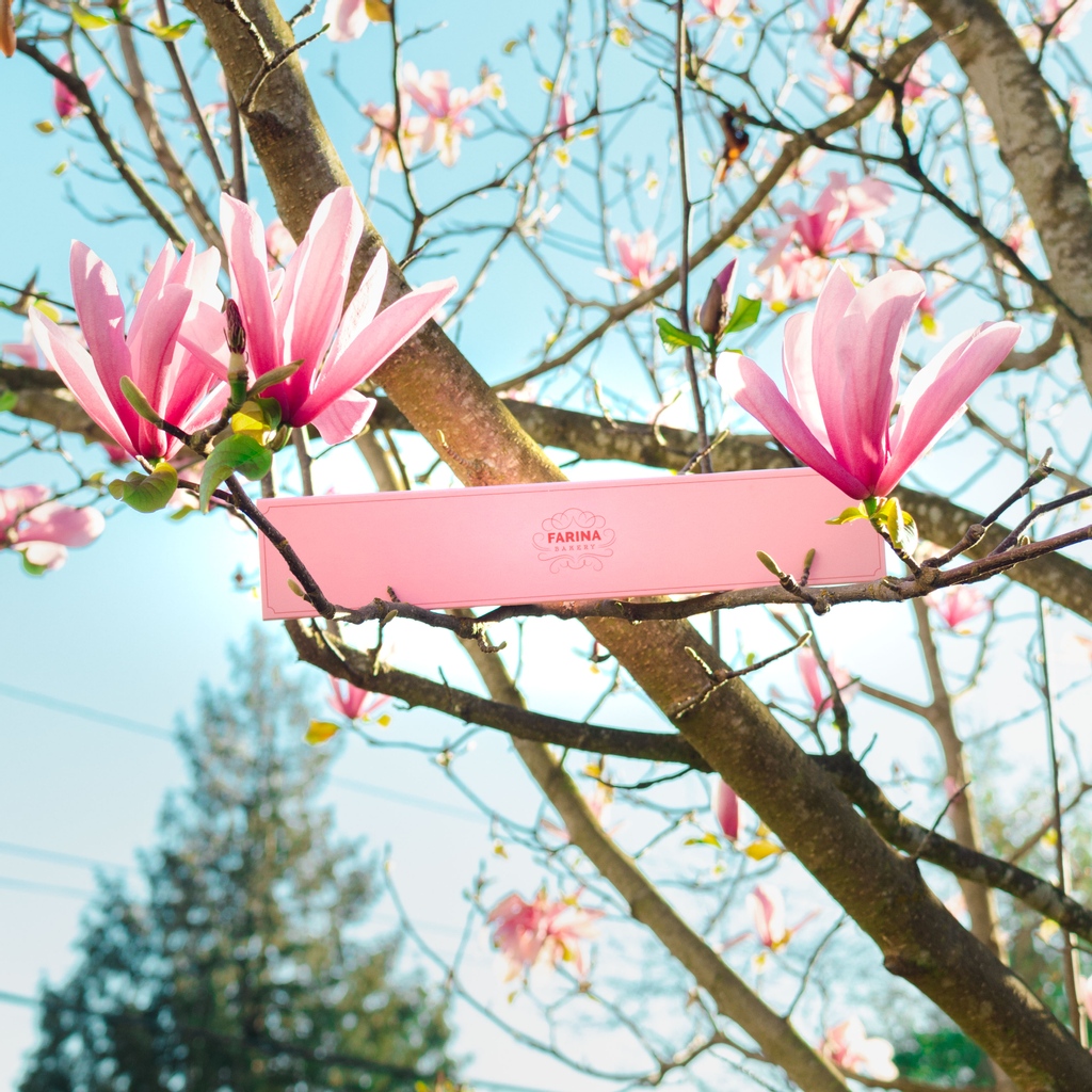 Farina Bakery tweet media