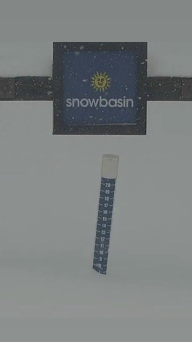 utavy_'s tweet image. New snow amounts are approaching a foot and new snow avalanches are being triggered as loose snow and as some soft slab avys. #utwx #utavy