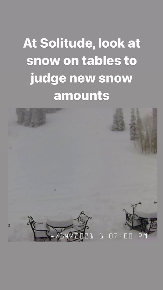 utavy_'s tweet image. New snow amounts are approaching a foot and new snow avalanches are being triggered as loose snow and as some soft slab avys. #utwx #utavy