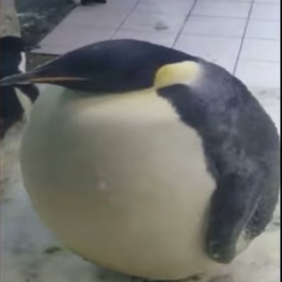 __MelancholyMan's tweet photo. #NewProfilePic https://t.co/q5RB71e7ps